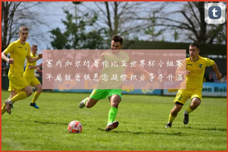 塞内加尔对哥伦比亚世界杯小组赛平局致晋级悬念延续积分争夺升温